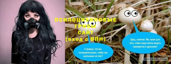 прущая мука Белокуриха